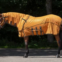 Vliegendeken QHP Collection Combo Met Hals En Masker Geel -Ruiter Hoek Verkoopwinkel vliegendeken qhp collection combo met hals en masker geel 1500x1500 175279