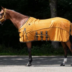 Vliegendeken QHP Collection Combo Met Hals En Masker Geel -Ruiter Hoek Verkoopwinkel vliegendeken qhp collection combo met hals en masker geel 1500x1500 175280