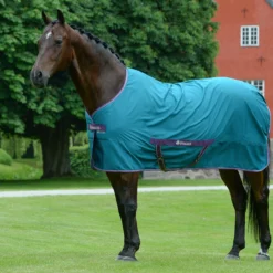 Zomerdeken Bucas Freedom Twill Sheet Groen -Ruiter Hoek Verkoopwinkel zomerdeken bucas freedom twill sheet groen 1500x1500 174495