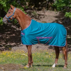 Zomerdeken Bucas Freedom Twill Sheet Groen -Ruiter Hoek Verkoopwinkel zomerdeken bucas freedom twill sheet groen 1500x1500 174496