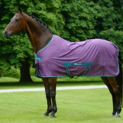 Zomerdeken Bucas Freedom Twill Sheet Paars -Ruiter Hoek Verkoopwinkel zomerdeken bucas freedom twill sheet paars 1500x1500 174491