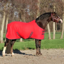Zweetdeken Epplejeck Zafra Junior Rood -Ruiter Hoek Verkoopwinkel zweetdeken epplejeck zafra junior rood 1500x1500 98299