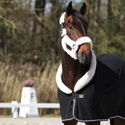 Zweetdeken Horsegear Allure Zwart -Ruiter Hoek Verkoopwinkel zweetdeken horsegear allure zwart 1500x1500 116311