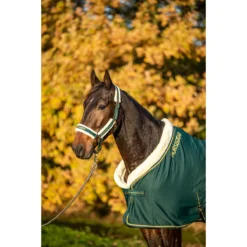 Zweetdeken Horsegear Lyx Donkergroen -Ruiter Hoek Verkoopwinkel zweetdeken horsegear lyx donkergroen 1500x1500 172842