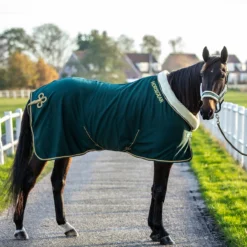 Zweetdeken Horsegear Lyx Donkergroen -Ruiter Hoek Verkoopwinkel zweetdeken horsegear lyx donkergroen 1500x1500 172843