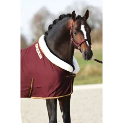 Zweetdeken Horsegear Lyx Donkerrood -Ruiter Hoek Verkoopwinkel zweetdeken horsegear lyx donkerrood 1500x1500 120633