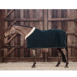 Zweetdeken Kentucky Show Heavy Donkergroen -Ruiter Hoek Verkoopwinkel zweetdeken kentucky show heavy donkergroen 1500x1500 139882