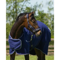 Zweetdeken QHP Ornament Donkerblauw -Ruiter Hoek Verkoopwinkel zweetdeken qhp ornament donkerblauw 1500x1500 98117