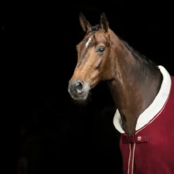 Zweetdeken SKØL Per Rood -Ruiter Hoek Verkoopwinkel zweetdeken skol per rood 1500x1500 130261