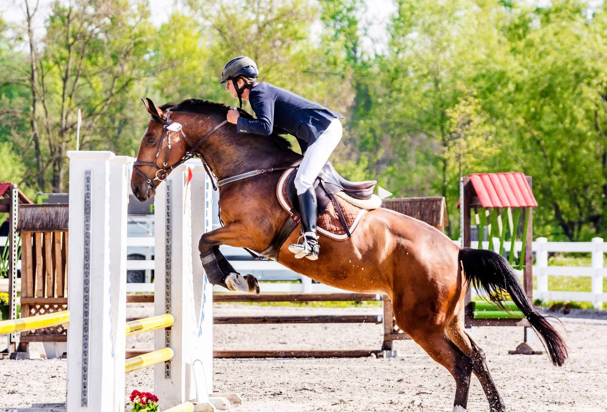 Ruiter Hoek Verkoopwinkel -Ruiter Hoek Verkoopwinkel 498461646